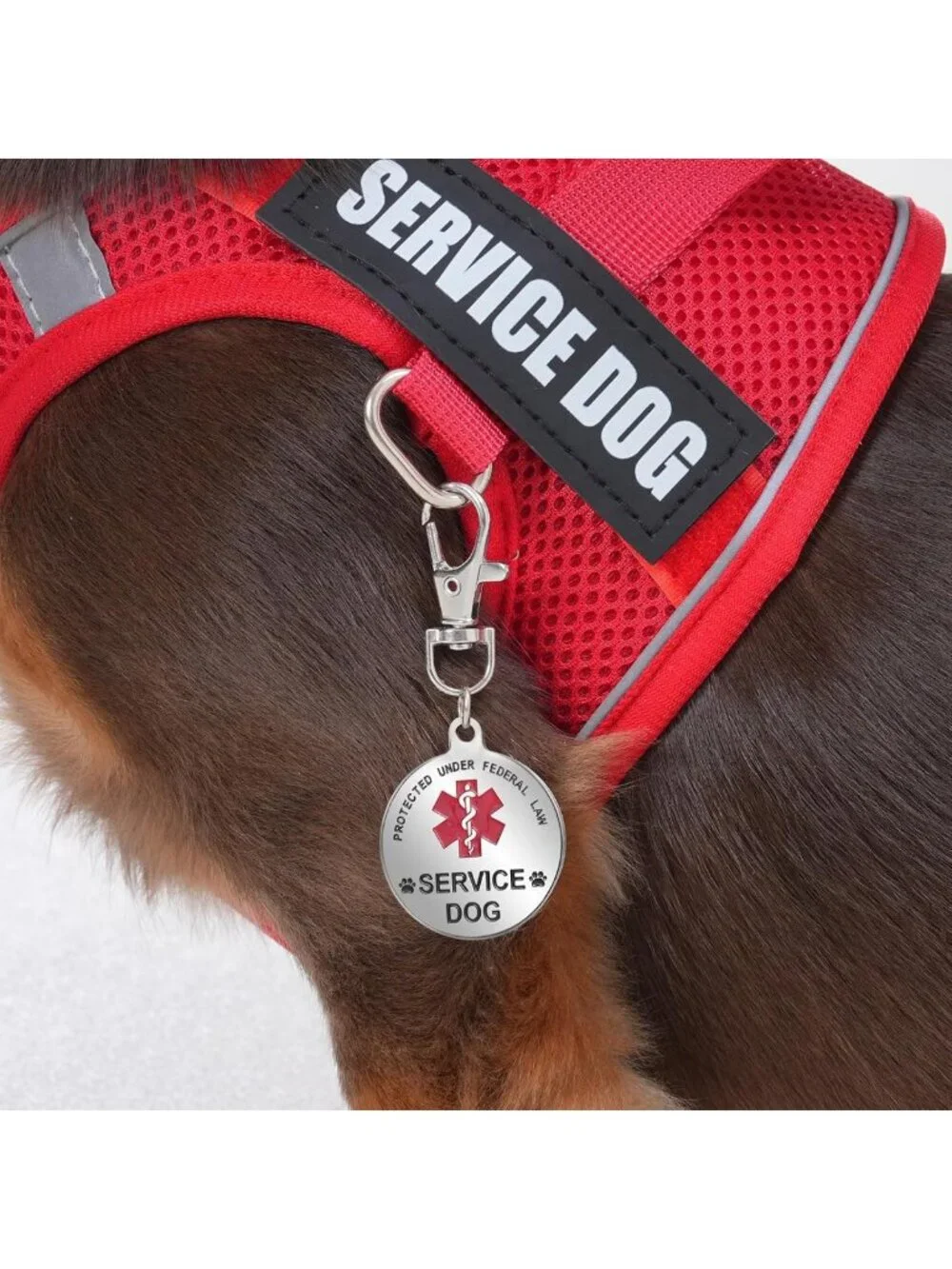 Lightweight Service Dog Vest Harness for Small Breeds with ID Tag & 10 Patches